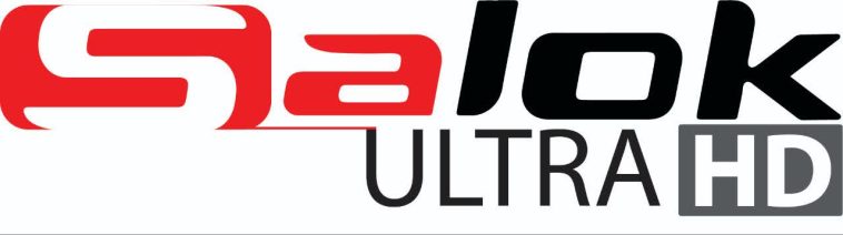 logo saloksystem.com